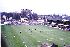 the dell, southampton